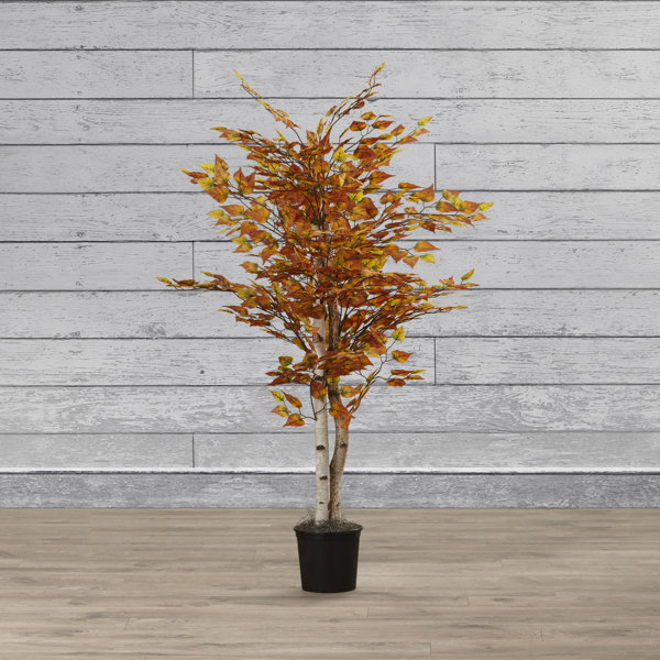 Loon Peak Floor Foliage Tree in Pot & Reviews Wayfair